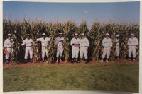 Field of Dreams Postcard